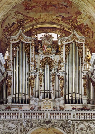 Organy Brucknera