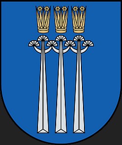 Herb miasta Druskieniki