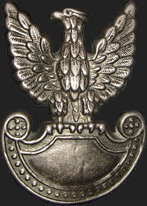  Eagle from a uniform of People's Army of Poland